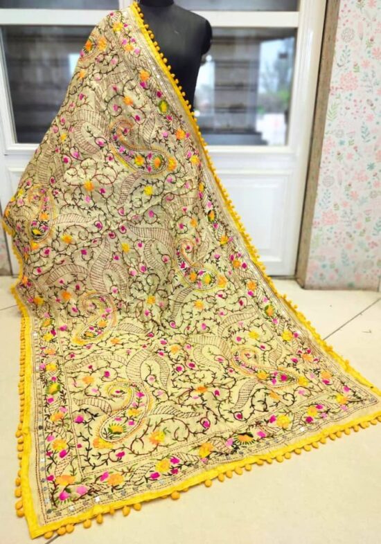 Autumn Aura Embroidered Dupatta